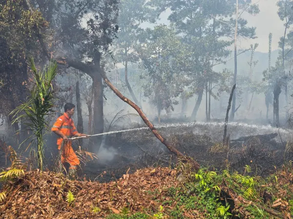 Upaya penanganan kebakaran hutan dan lahan (Karhutla) di Kabupaten Kayong Utara, Kalimantan Barat.