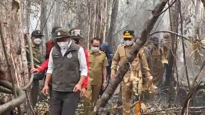 Upaya Penanganan Karhutla