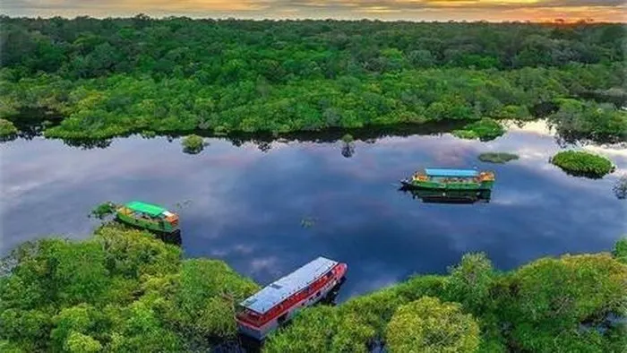 Taman Nasional Tanjung Puting