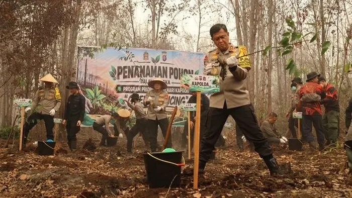Sebanyak 500 bibit pohon Belangiran ditanam di Palangka Raya
